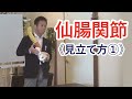 仙腸関節の見立て方①《理論》【疲労回復協会セミナー】