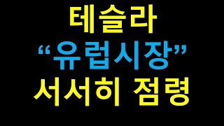 테슬라 유럽을 지배해 가고 있다!! 테슬라에 투자해야 하는이유!! 유럽만 지배하면 전세계를 지배한다!!