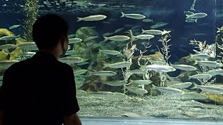 ＜おたる水族館　楽しい仲間たち＞「水族のプロ」になる