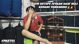 HIKMAH DIBALIK KETIPU SAAT BELI KENARI YORKSHIRE | GUA BELI YORKSHIRE KETIPU😭