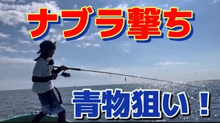 【大興奮】初めてのナブラ撃ちで…？【伊勢湾】サワラ・青物キャスティング‼︎