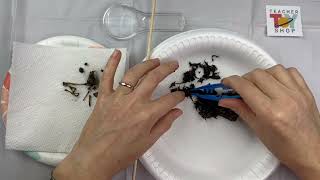 Owl Pellet Dissection