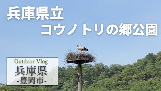 兵庫観光【豊岡市】自然豊かなコウノトリの郷を散策/兵庫県立コウノトリの郷公園