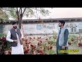 biggest free range poultry farming free range chicken farming in pakistan ajmal hameed tv