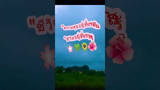 ความสุขอยู่ที่เราคิดชีวิตอยู่ที่เราสร้าง #คำผักหนามบ้านนา #คำคม #คำคมคนทำงาน #คำคมสตอรี่ #บทความ