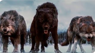 Born Among Wolves | Action Movie  Length English |  |  Action Movies HD