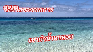 วีถีชีวิตของคนเกาะ เขาดำน้ำหาหอย ที่หมู่เกาะมาร์แชล