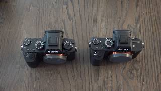 Sony A9 vs A7rii