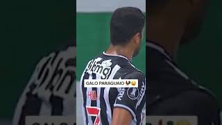 GALO PIPOQUEIRO MAIS UMA VEZ O MONOTITULO PATÉTICO FICA PELO CAMINHO FLAMENGO VS PALMEIRAS FINAL