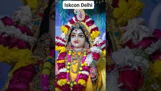 Special darshan of Sri Sri Radha Parthasarathy on Vasant Panchami@Iskcon Delhi ||03 Feb.2025||shorts