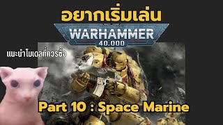 เริ่มสะสม Warhammer40k Part 10 Space Marine ควรซื้ออะไรถ้าอยากเริ่มเล่น