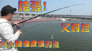 在美人魚海釣場釣魚釣太多吃不完阿!!就是一直拉! Fishing in Taiwan    台湾の釣り