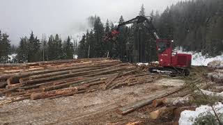 Eltec 317 Log Loader with Southstar 605 Processor at work