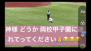 両校 全く譲らない攻防に観客も釘付け😳‼️ 早稲田実 vs 日大三 結末は⁉️ 高校野球 西東京大会 決勝 神宮球場 2024年7月28日