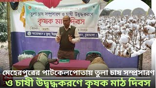 মেহেরপুরের পাটকেলপোতায় তুলা চাষ সম্প্রসারণ ও চাষী উদ্বুদ্ধকরণে কৃষক মাঠ দিবস | Channel RA News |