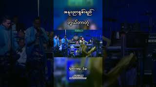 တွယ်တာတုံ - အနုပညာစွမ်းရည်