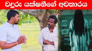 වදුරු යක්ෂනීගේ අවතාරය l Nava vlogs