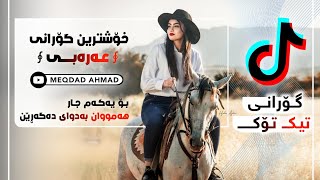 شیلات هلا یاشیخ _ خۆشترین گۆرانی عەرەبی / بۆ یەکەم جار / Xoshtrin Gorani Arabi Tik Tok 2022