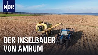Inselbauer Oke: Landwirtschaft auf Amrum | die nordstory | NDR Doku