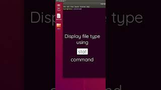Display file type using stat command in Linux