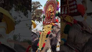 Thamarakulam Ganapathy 💥😍 #trending #trendingvideo #trendingreels #ytshorts #kollam #ganapati