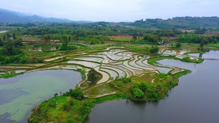 GLOBALink | A glimpse of Liangping: int'l wetland city