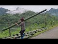 timelapse 45 days girl builds bamboo house by the lake alone building farm life