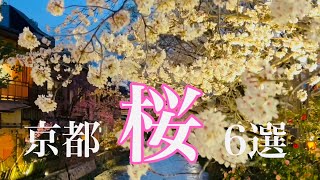 【4K】今年も訪れたい京都の桜の名所6選🌸 Touring Kyoto,Japan