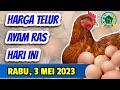 Harga Telur Ayam Ras Hari Ini Rabu, 3 Mei 2023