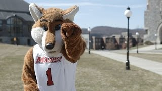 Marist College - \