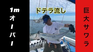 和歌山紀北　巨大鰆を釣る！