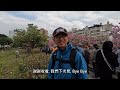 the most famous cherry blossom viewing spot in the flat land of east district taipei ~ lohas park