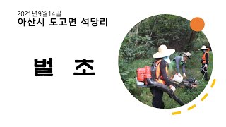 아산시 도고면 석당리 전통묘형 평장묘지 벌초(2021년9월14일)