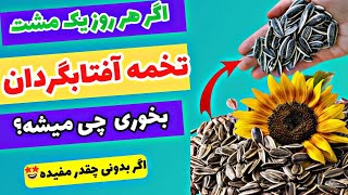 خواص تخمه آفتابگردان / چه اتفاقی برای بدن می‌افتد اگر هر روز تخمه آفتابگردان بخوریم ؟