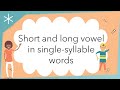 Short and long vowels in single syllable words