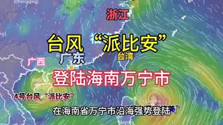 第4号台风派比安登陆海南万宁市，风力十级树木被连根拔起