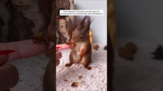 This woman rescued a small squirrel exhausted from heatstroke and adopted it #animalshorts