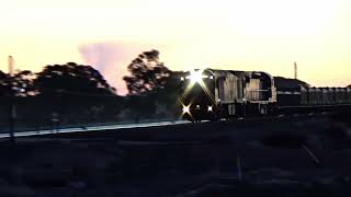 GL 110 \u0026 C 508 RFAM locos on hire to Watco. With 3351 Nickel West freight to Hampton.  26.03.2024