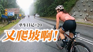 车友爱爬坡！Broga Loop雪隆区经典爬坡路线！Cycling to Genting Peras, Jeram Toi, Lenggeng, Broga!【单车日记#20】[ENG SUB CC]