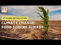 Can we avoid climate-related food shocks? | FT Food Revolution