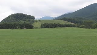 北海道を巡る旅その４　十勝千年の森