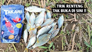 BUKA2 AN TRIK RANGKAIAN RENTENG DAN ALASANNYA IKAN WADER MAKAN KAWAT‼️