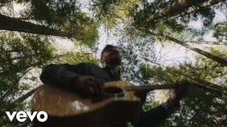 Colby Acuff - Western White Pines (Official Visualizer)