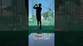 딱 1년차 된 독학 골린이 비포 애프터 #golf #골프 #골프스윙 #드라이버스윙 #비포애프터