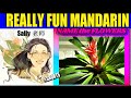 #Shorts｜Names Of Flowers In Chinese｜One Day One Flower｜一天一朵花｜BROMELIAD｜Learn Chinese With Sally Gouw