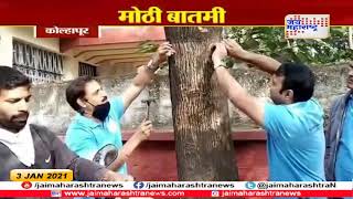 Kolhapur | आजपासून खिळे मुक्त झाड मोहीम | Marathi News