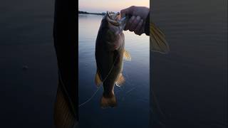 Sunrise bass fishing #bass