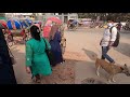 zigatola dhanmondi dhaka bangladesh rickshaw and walking tour real life footage