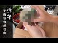 喵王的多肉陽台-平衡植物超狂肉&花仙園可愛的兜兜