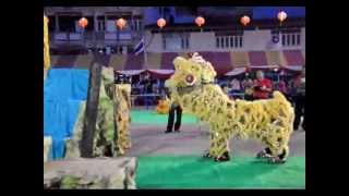 International Lion Dance Narathiwat 2013_03